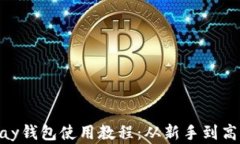 全面掌握GoPay钱包使用教程：从新手到
