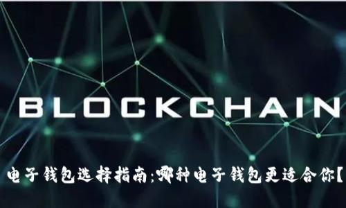 电子钱包选择指南:哪种电子钱包更适合你?