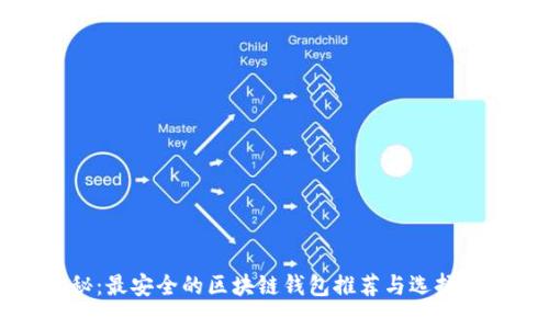 揭秘:最安全的区块链钱包推荐与选择指南