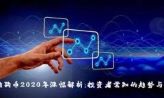### 狗狗币2020年涨幅解析：投资者需知