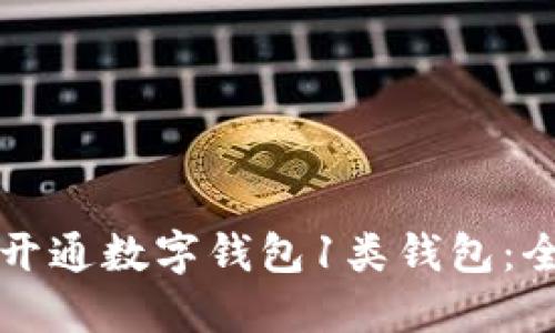 如何成功开通数字钱包1类钱包:全方位指南