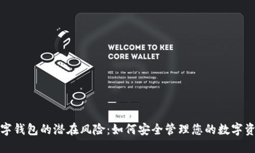 数字钱包的潜在风险:如何安全管理您的数字资产