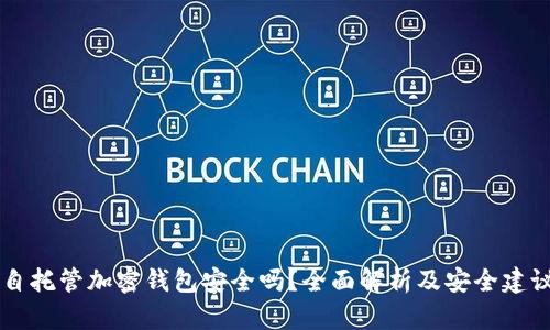 自托管加密钱包安全吗?全面解析及安全建议