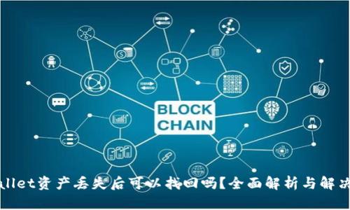 tpWallet资产丢失后可以找回吗？全面解析与解决方案