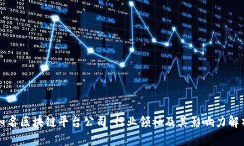 知名区块链平台公司:行业领袖及其影响力解析