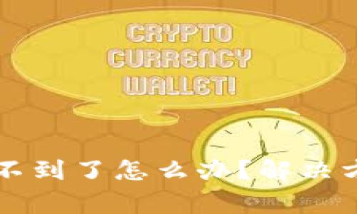 tpWallet买的币找不到了怎么办?解决方案与常见问题解析