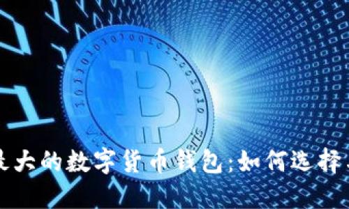 全球最大的数字货币钱包:如何选择与使用