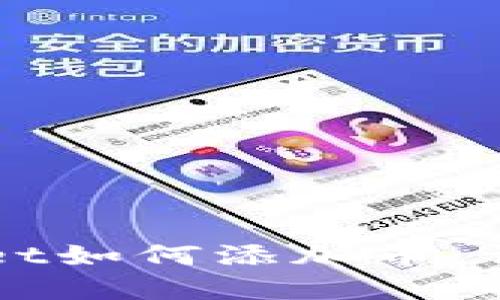 电脑版tpWallet如何添加币:详细步骤与技巧