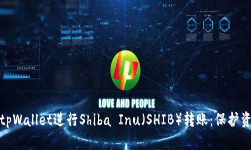 如何安全使用tpWallet进行Shiba Inu(SHIB)转账:保护资产的关键策略