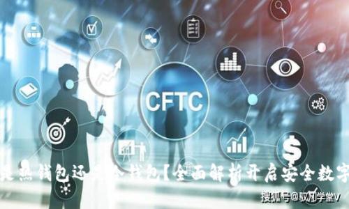 tpWallet是热钱包还是冷钱包?全面解析开启安全数字资产之旅
