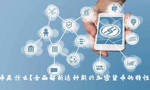 POLYDOGE币是什么?全面解析这种新兴加密货币的特性与未来趋势