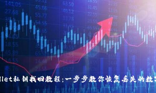 tpWallet私钥找回教程:一步步教你恢复丢失的数字资产