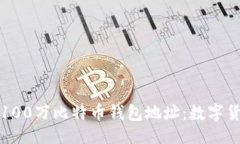 ## 揭秘中本聪的100万比特币钱包地址：