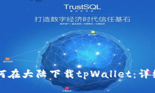 苹果用户如何在大陆下载tpWallet:详细步骤与指南
