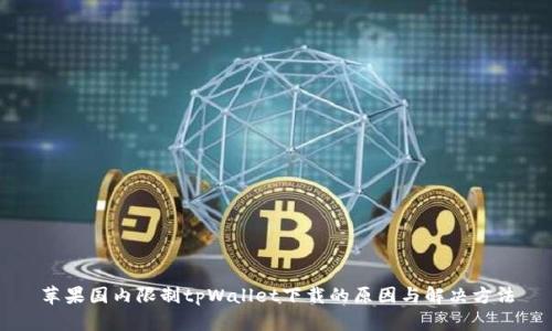 苹果国内限制tpWallet下载的原因与解决方法