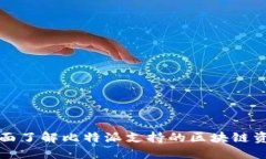 全面了解比特派支持的区块链资产