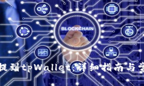 如何将狗币提到tpWallet:详细指南与常见问题解答