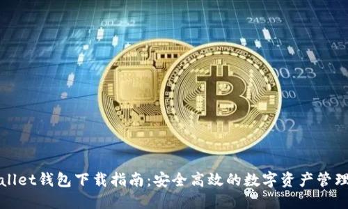 TPWallet钱包下载指南:安全高效的数字资产管理工具