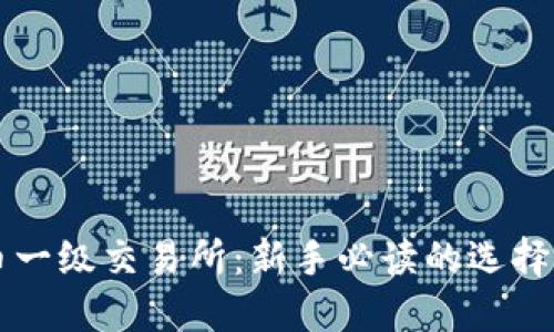 虚拟币一级交易所:新手必读的选择与指南