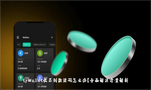 tpWallet收不到激活码怎么办?全面解决方案解析