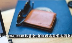 如何从tpWallet提取资金：详细指南与常