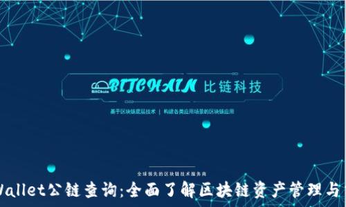 tpWallet公链查询:全面了解区块链资产管理与交易