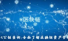   tpWallet公链查询：全面了解区块链资