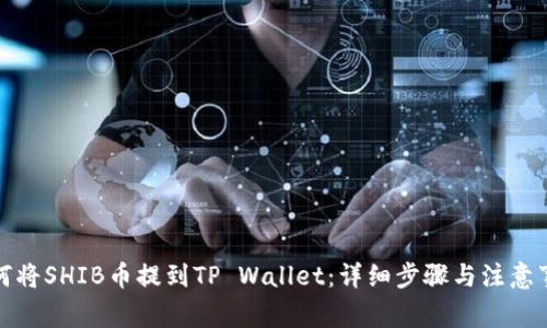 如何将SHIB币提到TP Wallet:详细步骤与注意事项