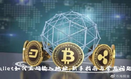 tpWallet如何正确输入地址:新手指南与常见问题解答