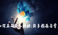 tpWallet如何正确输入地址：新手指南与
