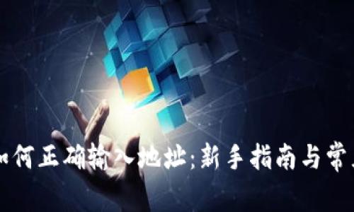 tpWallet如何正确输入地址:新手指南与常见问题解答