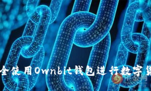 如何安全使用Ownbit钱包进行数字货币交易