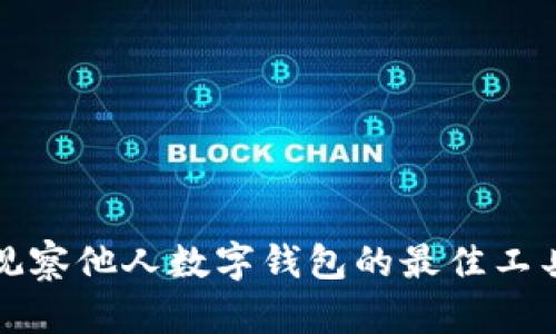 tpWallet: 观察他人数字钱包的最佳工具与使用指南