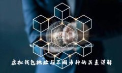 虚拟钱包地址与不同币种的关系详解