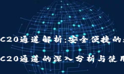 tpWallet TRC20通道解析:安全便捷的数字资产管理
tpWallet TRC20通道的深入分析与使用指南
