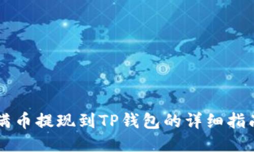 满币提现到TP钱包的详细指南