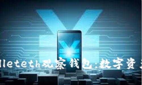 全面解析tpWalleteth观察钱包:数字资产管理的新选择