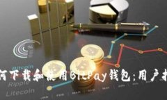 如何下载和使用BitPay钱包：用户指南