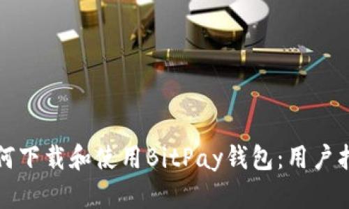 如何下载和使用BitPay钱包:用户指南