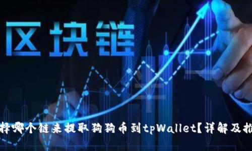 选择哪个链来提取狗狗币到tpWallet?详解及推荐
