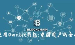 如何使用Ownbit钱包：中国用户的全面指