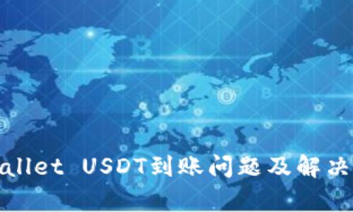 tpWallet USDT到账问题及解决方案