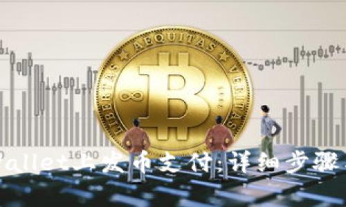 如何在tpWallet上发币支付:详细步骤与实用技巧