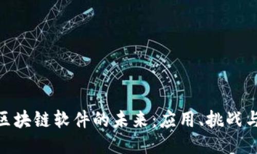 探索区块链软件的未来:应用、挑战与机遇