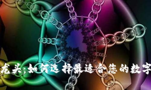 数字货币钱包龙头:如何选择最适合您的数字资产存储方案