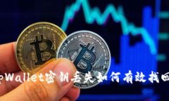tpWallet密钥丢失如何有效找回？
