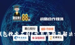 虚拟币钱包搜索不到？常见原因及解决