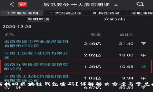 如何找回区块链钱包密码?详解解决方案与常见问题