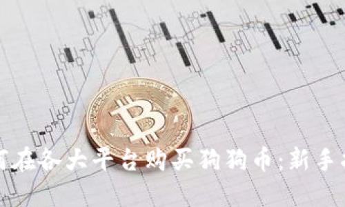 如何在各大平台购买狗狗币：新手指南