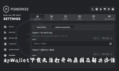 tpWallet下载无法打开的原因及解决办法
